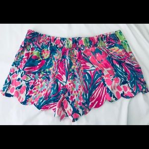 Dahlia shorts in multi gumbo limbo size XL